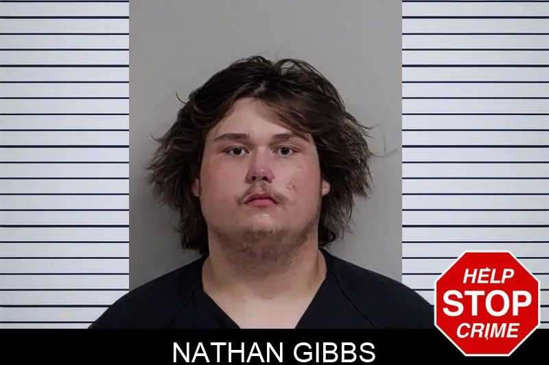 Nathan Gibbs Mugshots