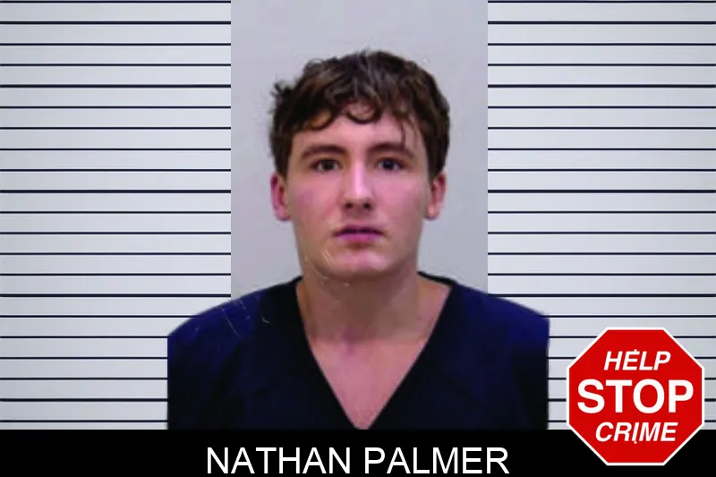 Nathan Palmer mugshot