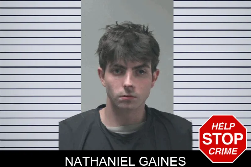 Nathaniel Gaines Mugshots
