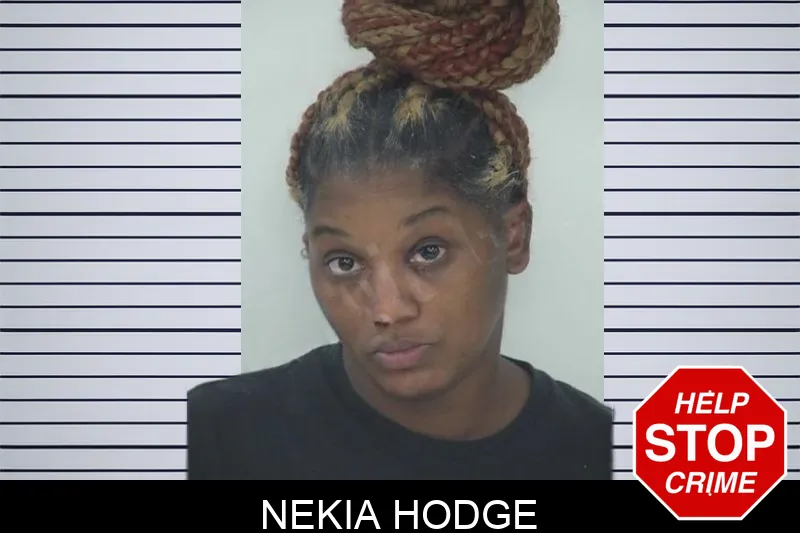 Nekia Hodge mugshot – Fayette County , Georgia Nekia Hodge mugshot
