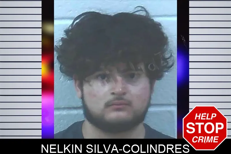 Nelkin Silva-Colindres