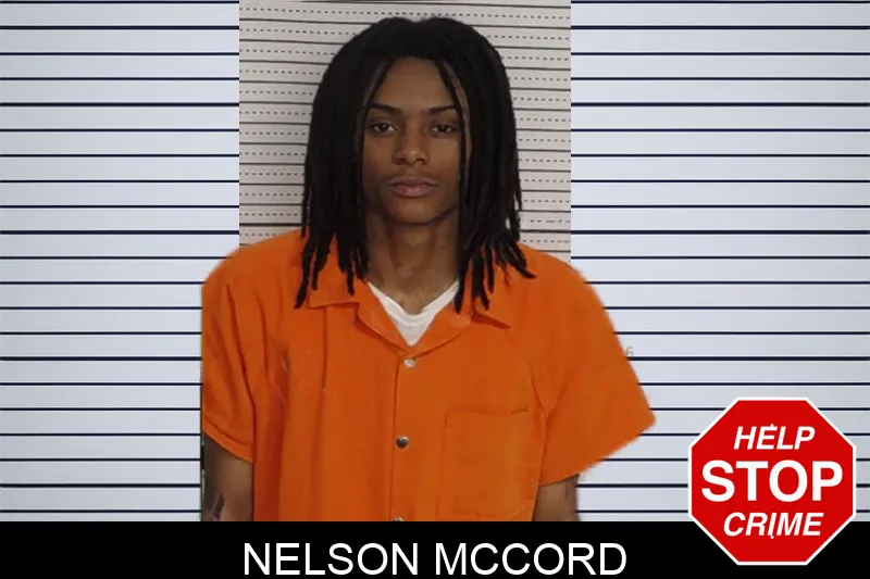 Nelson McCord mugshot – Rockdale County , Georgia Nelson McCord mugshot