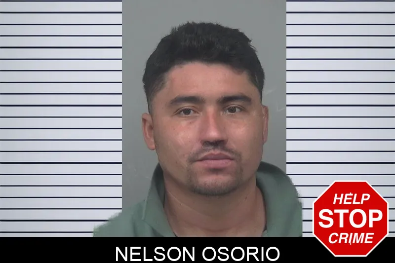 Nelson Osorio mugshot – Gwinnett County , Georgia Nelson Osorio mugshot