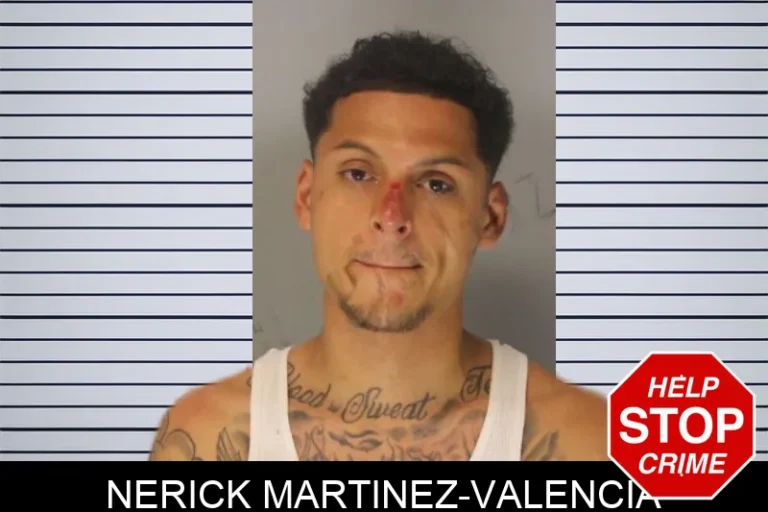 Nerick Martinez-Valencia