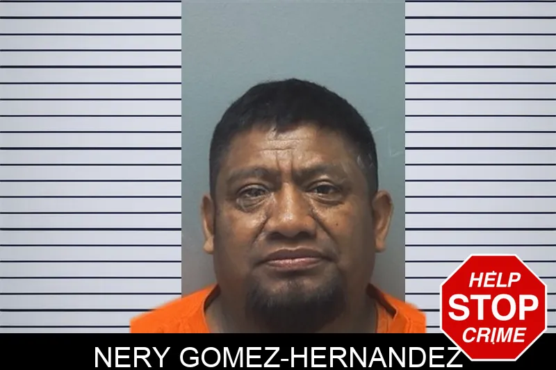 Nery Gomez-Hernandez Mugshots