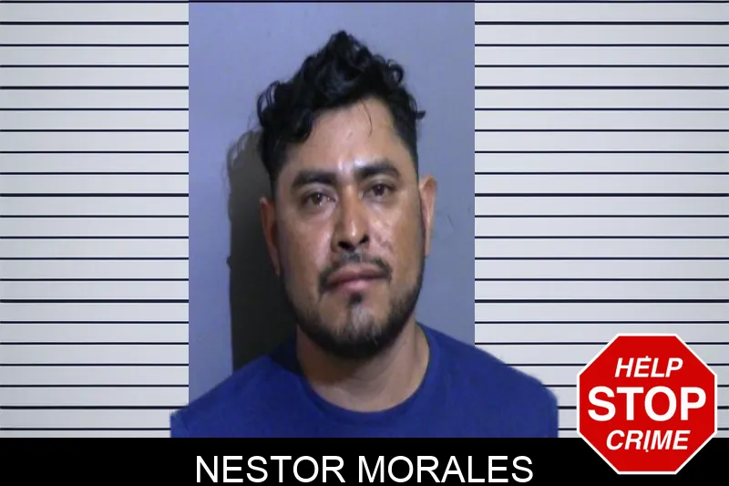 Nestor Morales Mugshots
