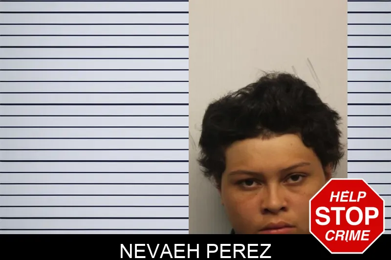 Nevaeh Perez Mugshots