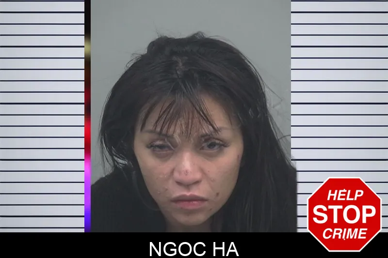 Ngoc Ha Mugshots