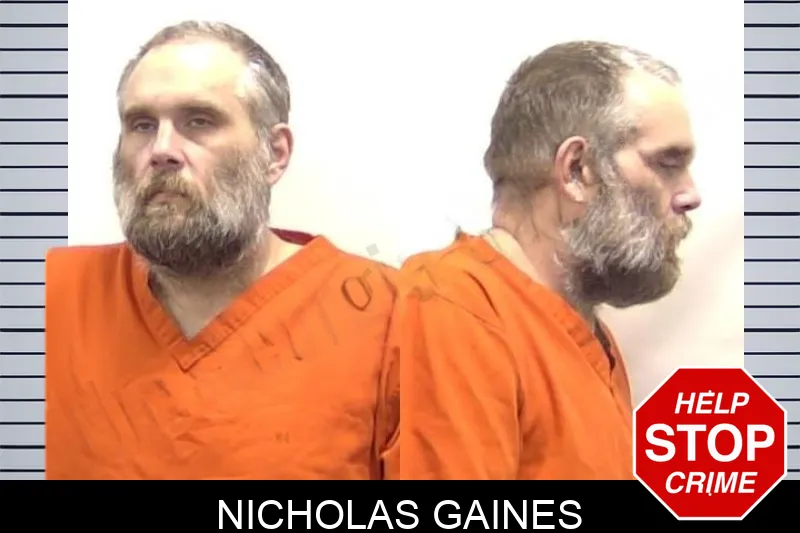 Nicholas Gaines Mugshots