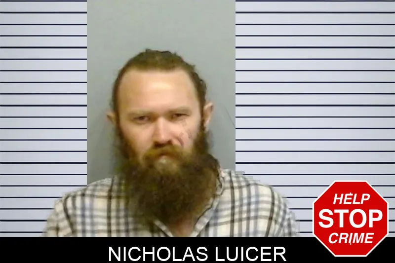Nicholas Luicer Mugshots