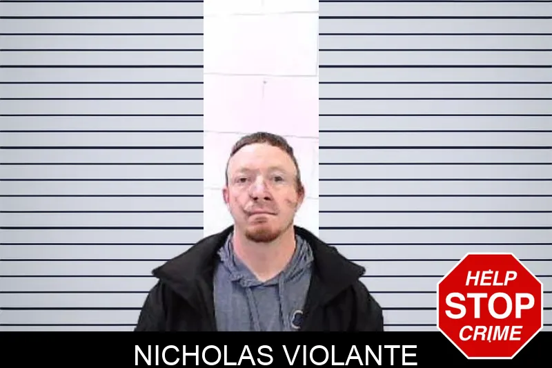 Nicholas Violante Mugshots