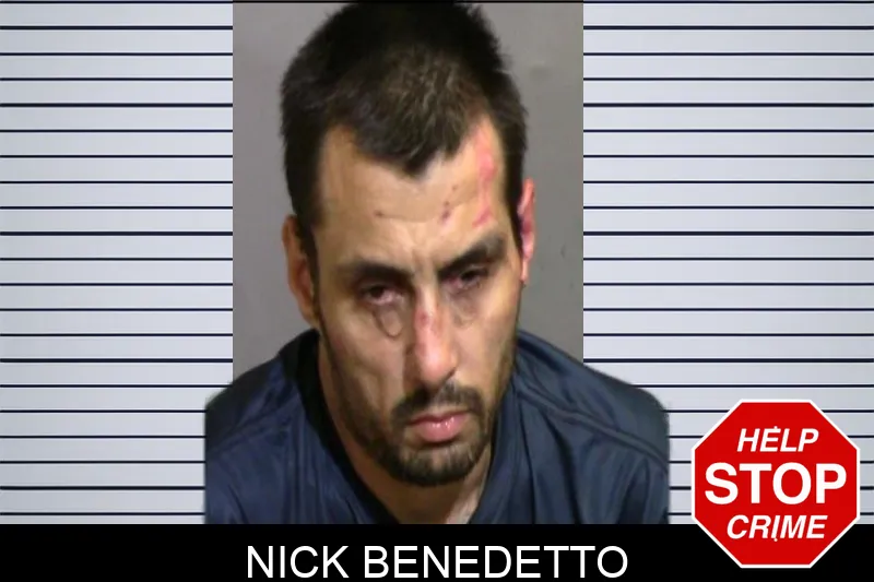 Nick Benedetto Mugshots