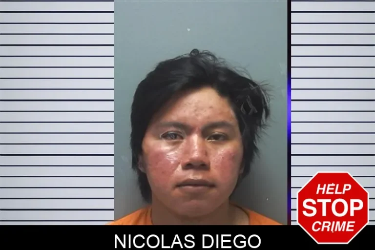 Nicolas Diego mugshot – Cherokee County , Georgia Nicolas Diego