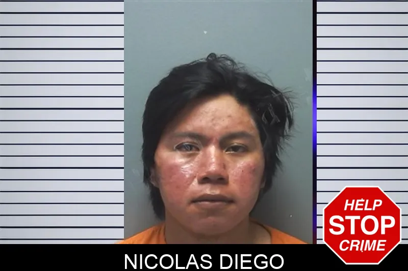 Nicolas Diego mugshot