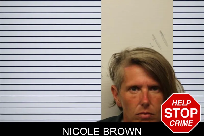 Nicole Brown Mugshots