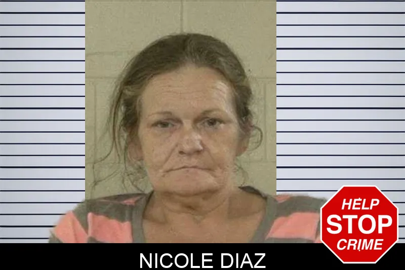 Nicole Diaz Mugshots