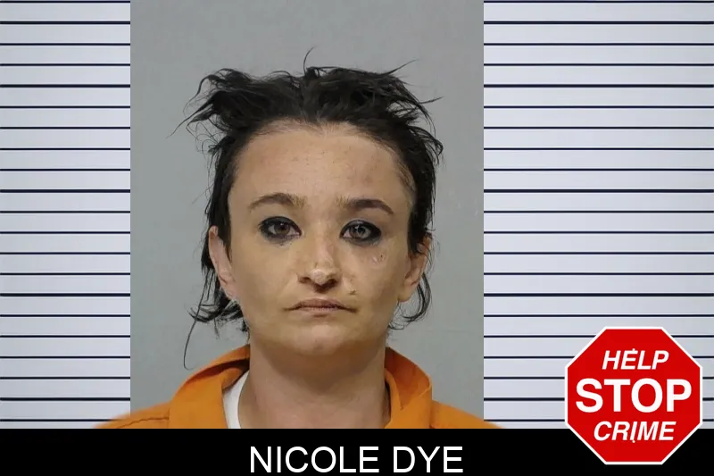 Nicole Dye Mugshots