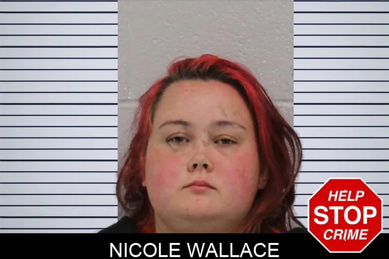 Nicole Wallace Mugshots