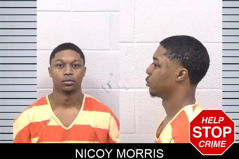 Nicoy Morris mugshot