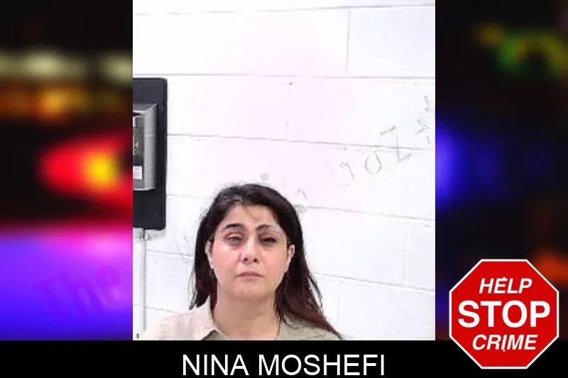 Nina Moshefi Mugshots