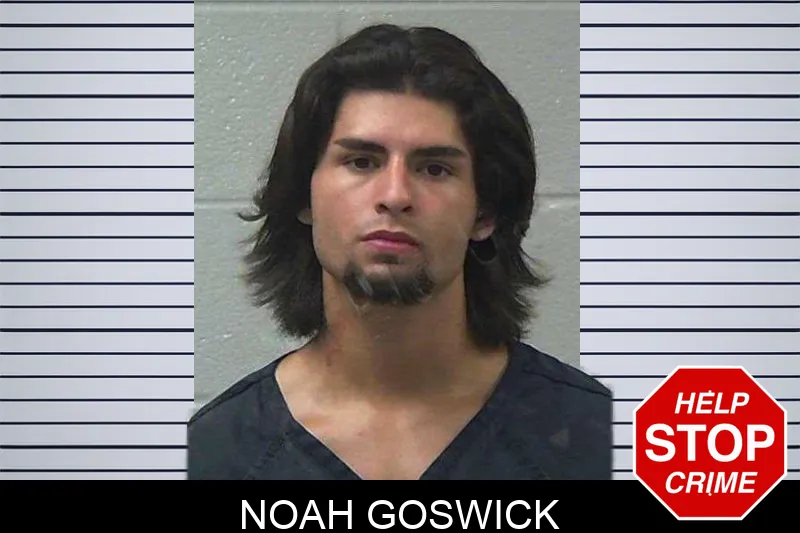 Noah Goswick Mugshots