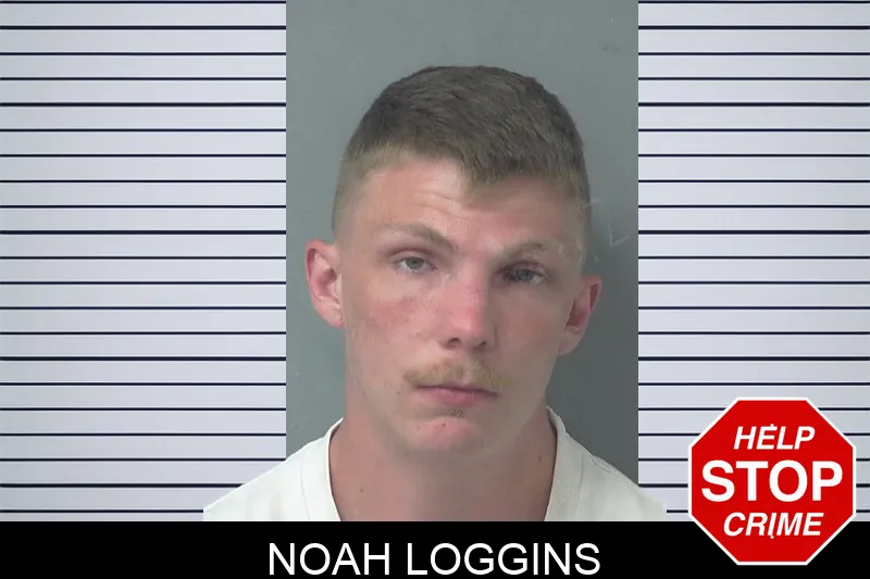 Noah Loggins mugshot – Gwinnett County , Georgia Noah Loggins mugshot