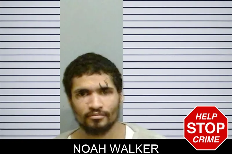 Noah Walker Mugshots