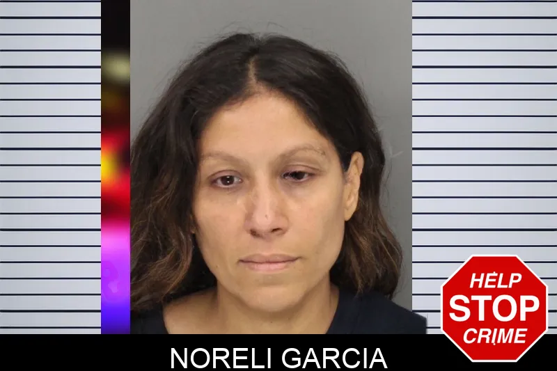 Noreli Garcia Mugshots