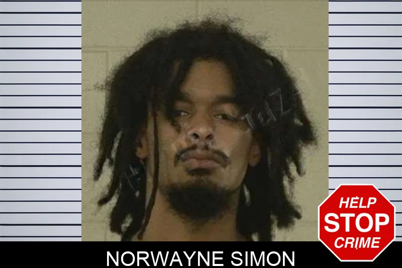 Norwayne Simon Mugshots