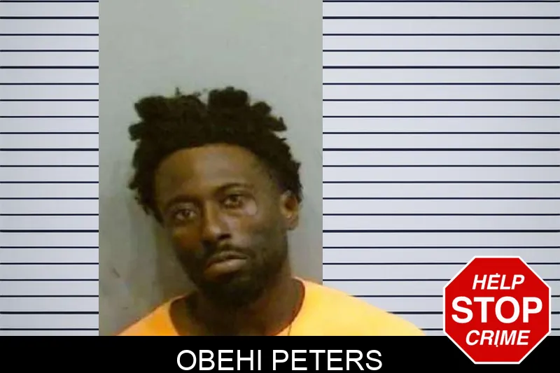 Obehi Peters mugshot – Fulton County , Georgia Obehi Peters mugshot
