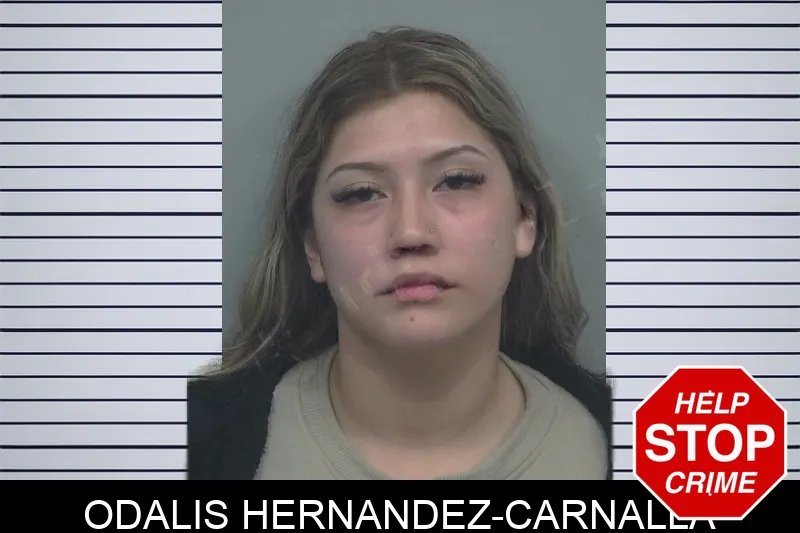 Odalis Hernandez-Carnalla Mugshots