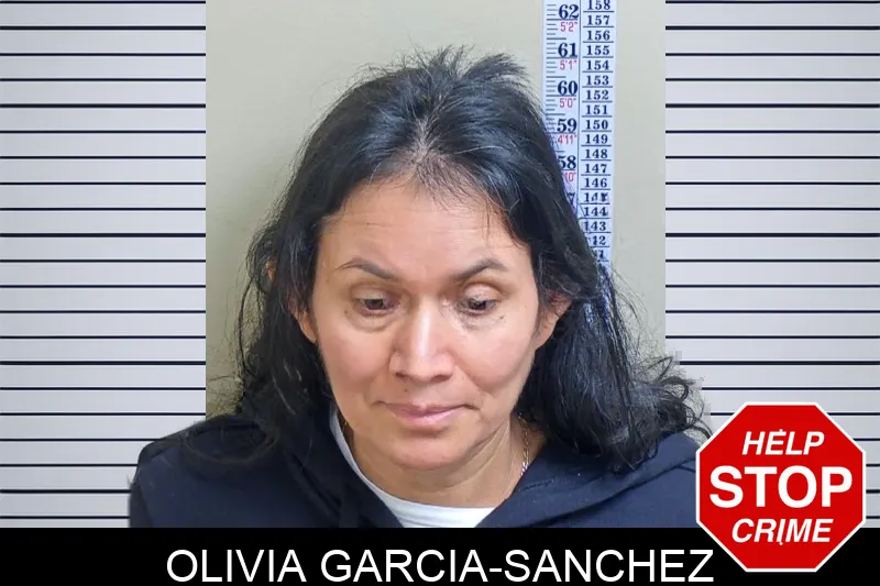 Olivia Garcia-Sanchez Mugshots