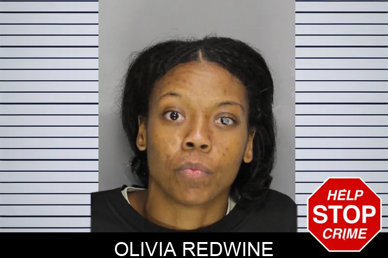 Olivia Redwine mugshot – Cobb County , Georgia Olivia Redwine mugshot