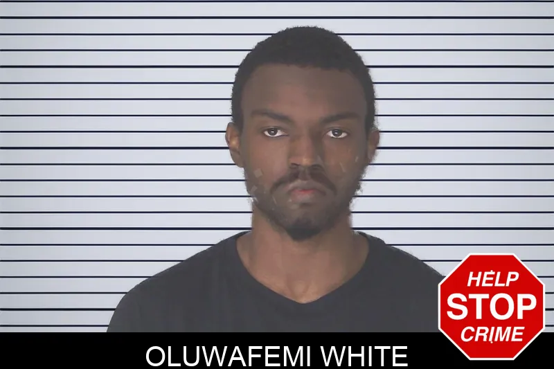 Oluwafemi White mugshot