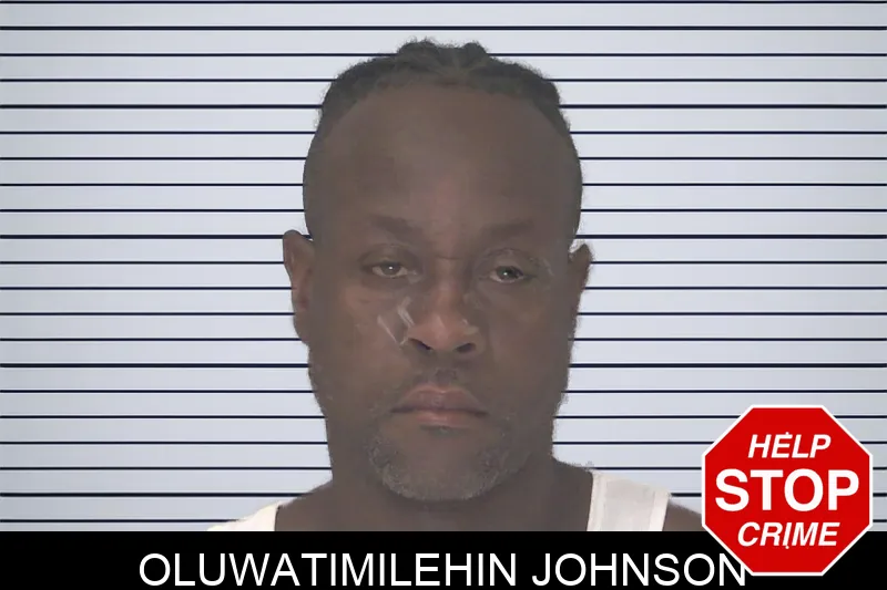 Oluwatimilehin Johnson Mugshots