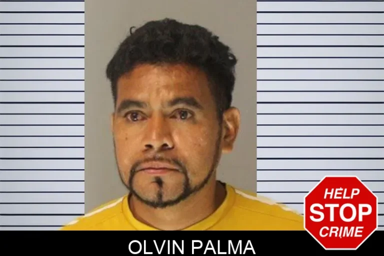 Olvin Palma