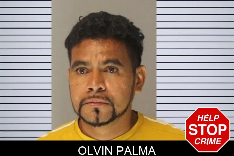 Olvin Palma Mugshots