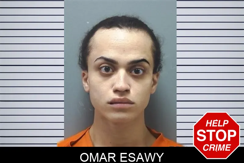Omar Esawy mugshot – Cherokee County , Georgia Omar Esawy mugshot