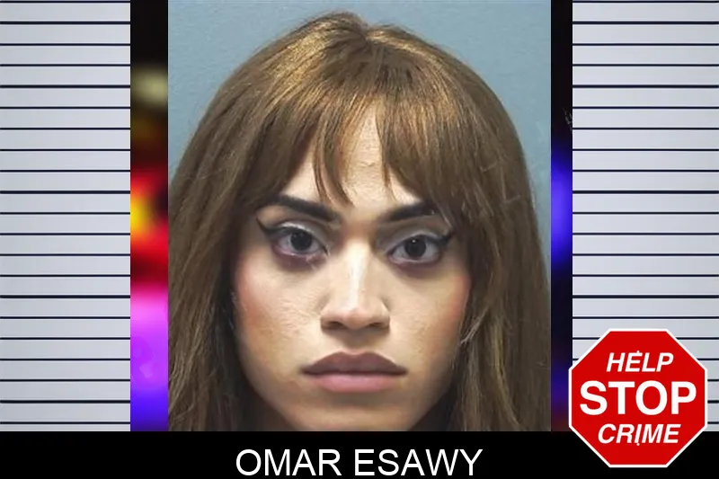 Omar Esawy mugshot