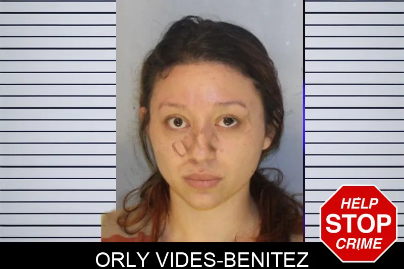 Orly Vides-Benitez Mugshots