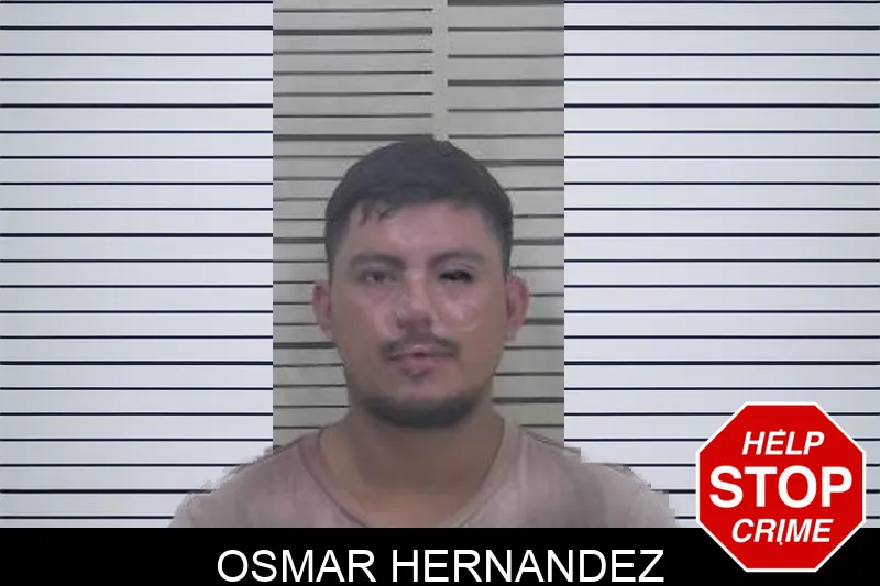 Osmar Hernandez Mugshots