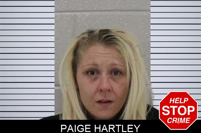 Paige Hartley mugshot – Carroll County , Georgia Paige Hartley mugshot