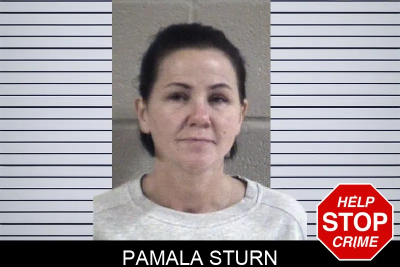 Pamala Sturn mugshot – Whitfield County , Georgia Pamala Sturn mugshot