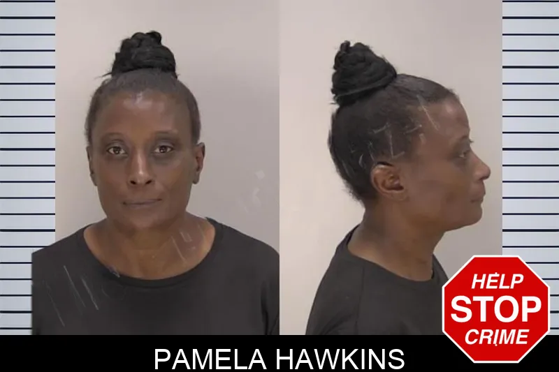 Pamela Hawkins mugshot