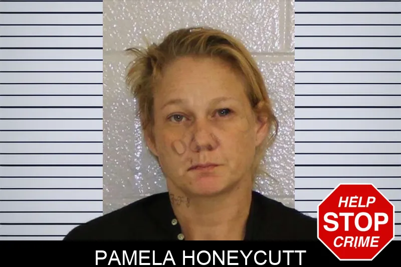 Pamela Honeycutt mugshot – Carroll County , Georgia Pamela Honeycutt mugshot