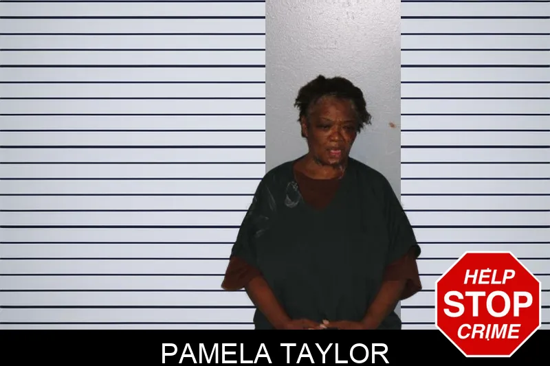 Pamela Taylor Mugshots