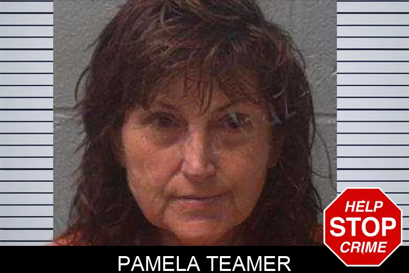 Pamela Teamer Mugshots