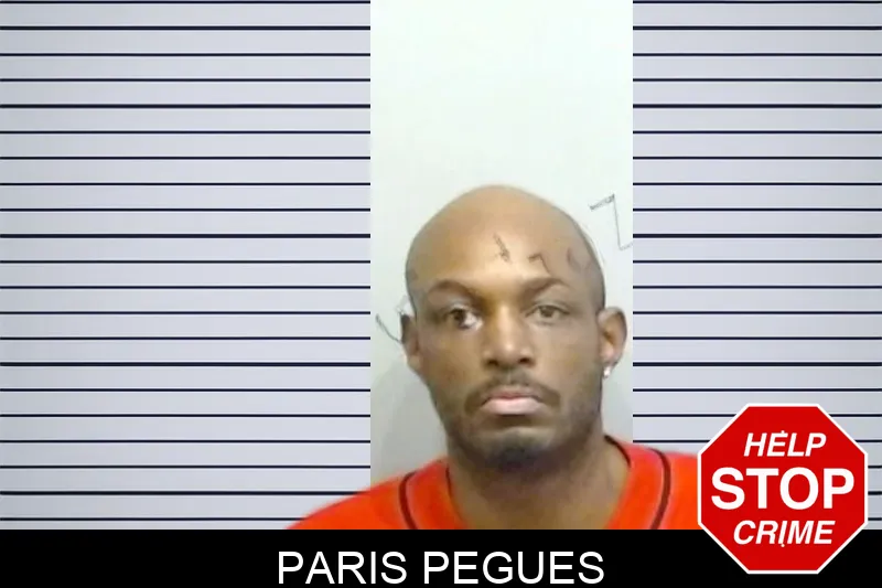 Paris Pegues mugshot