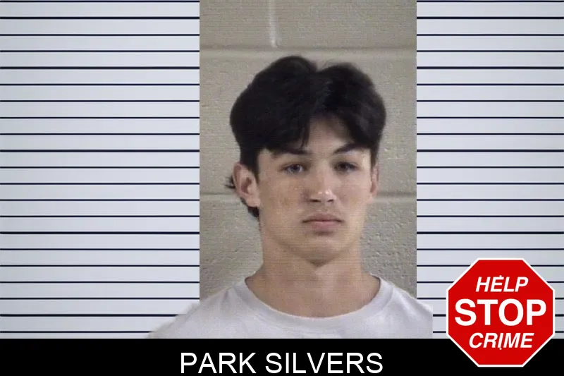 Park Silvers mugshot – Whitfield County , Georgia Park Silvers mugshot