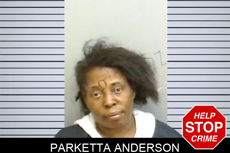 Parketta Anderson mugshot